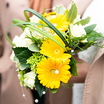 Christmas Flowers