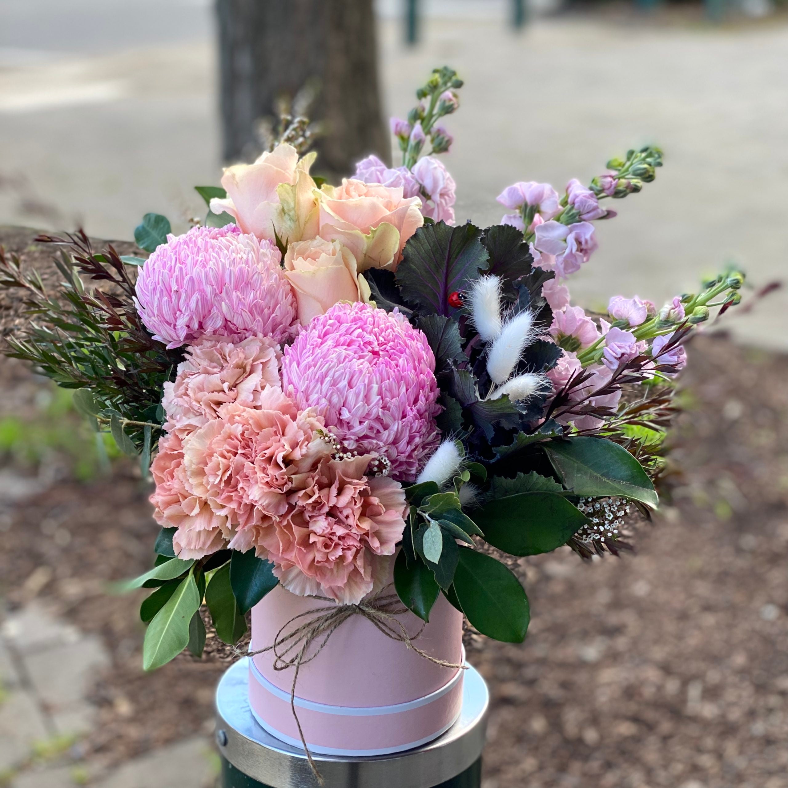 Hat Box Arrangements