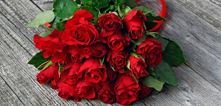 Rose Petals