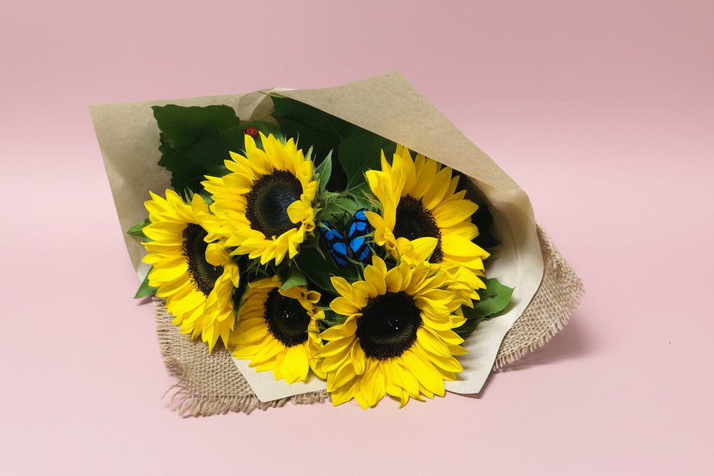 JB05 sunflowers