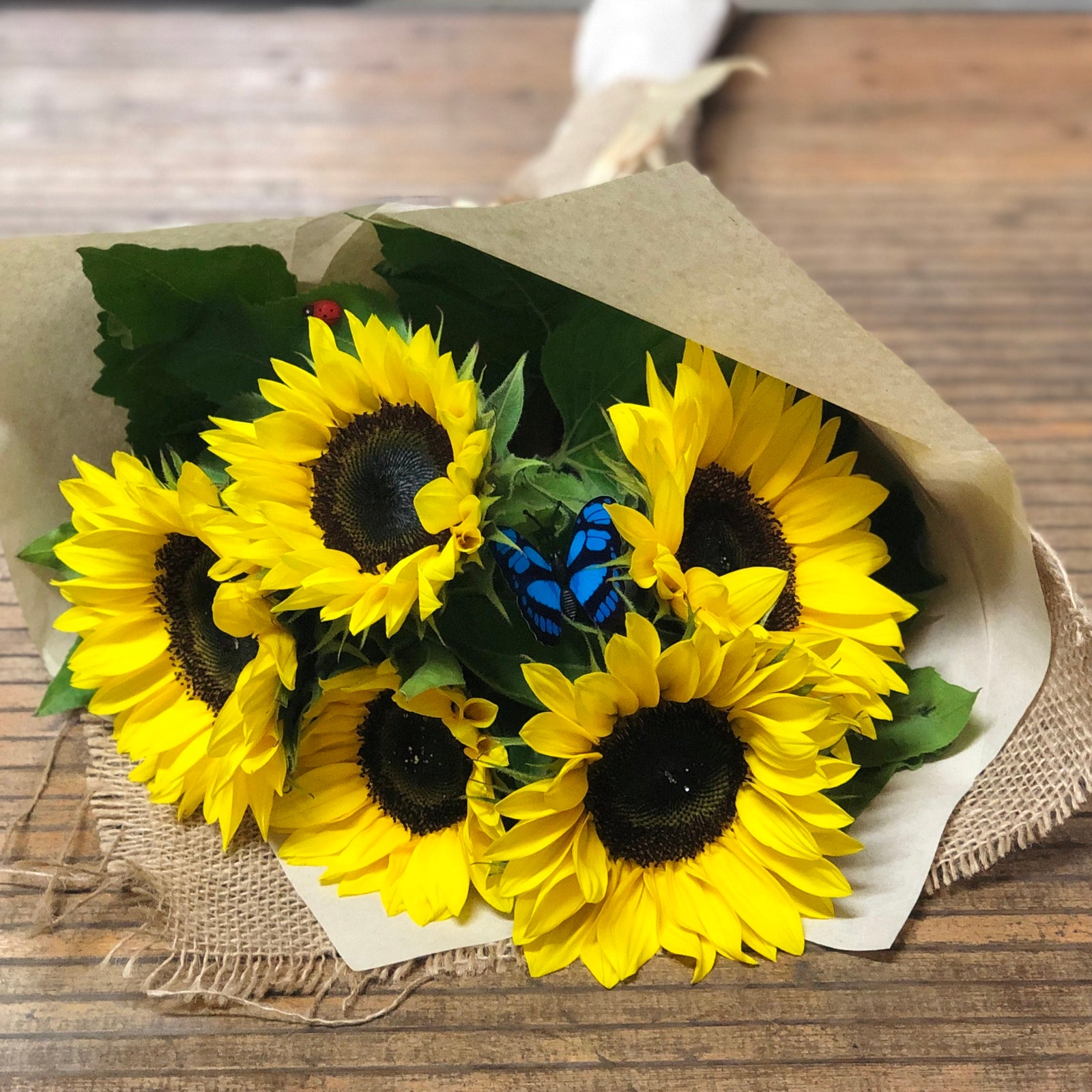 JB05 sunflowers