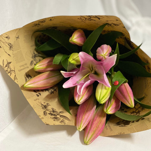 JB11 Pink lilies