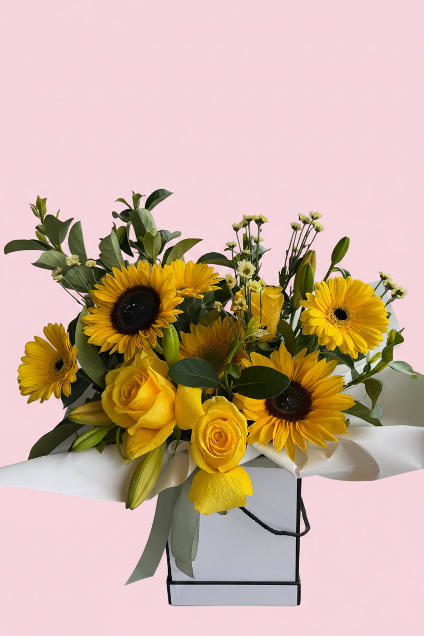 Sunshine In A Box