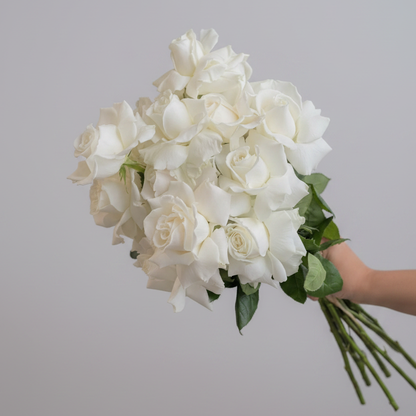 Plain white roses