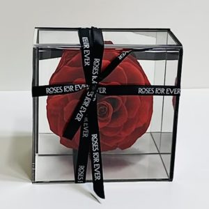 Preserved Rose Cube