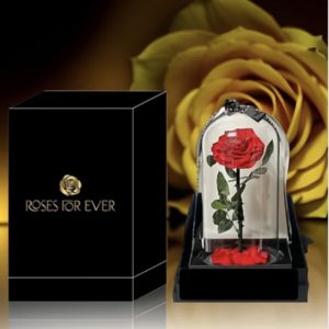 Forever Rose