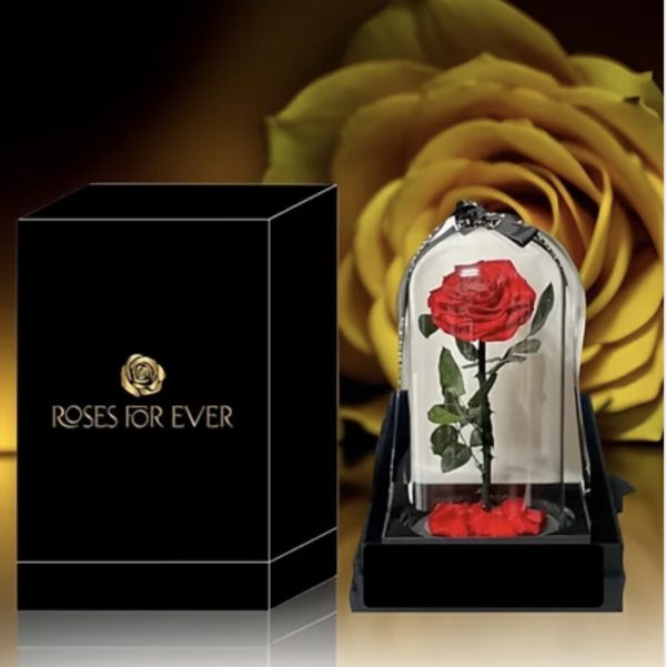 Forever Rose