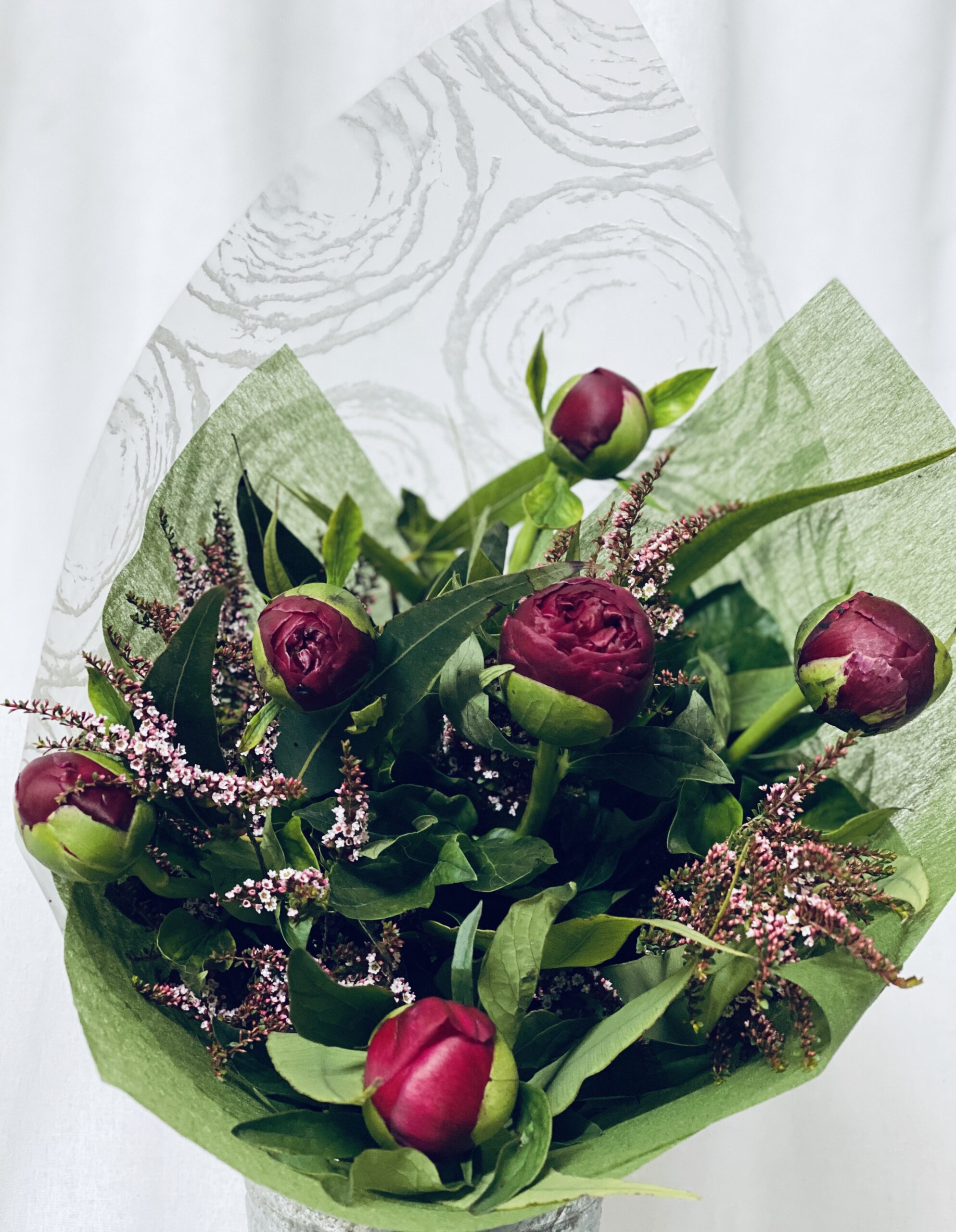 Peony Roses Floral Affairs Send Peony Roses Sunshine Melbourne