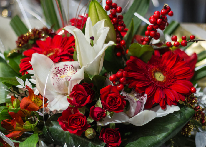 Christmas Flowers